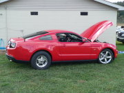 MUSTANG